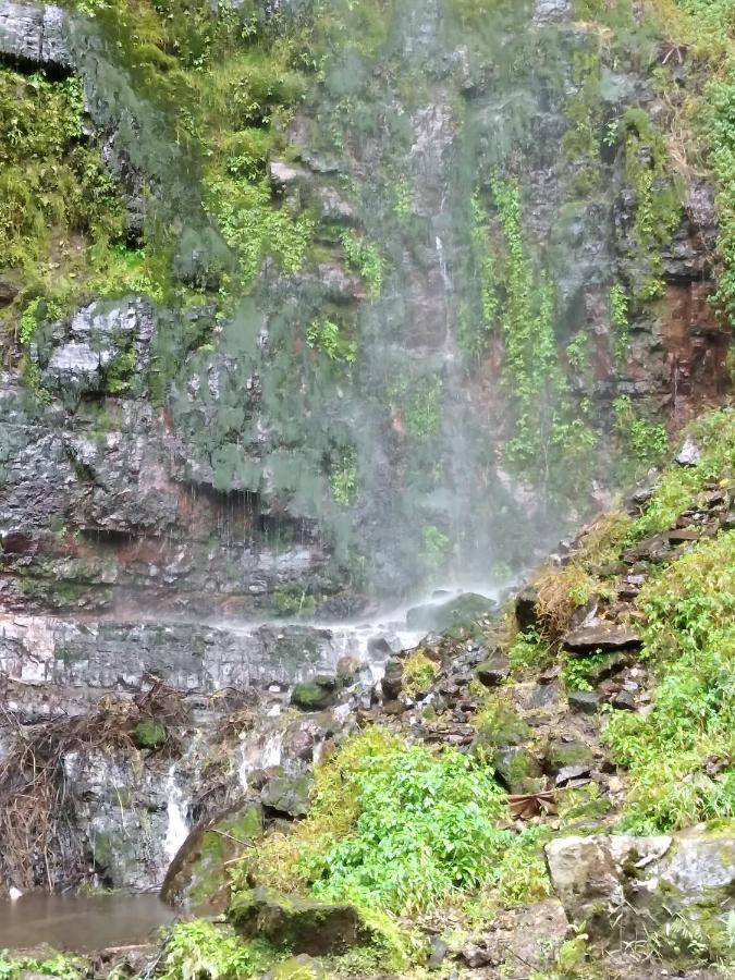 Country house Refugio Ecologico Mercedes San Antonio del Tequendama